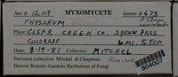 Image Associated With the Occurence